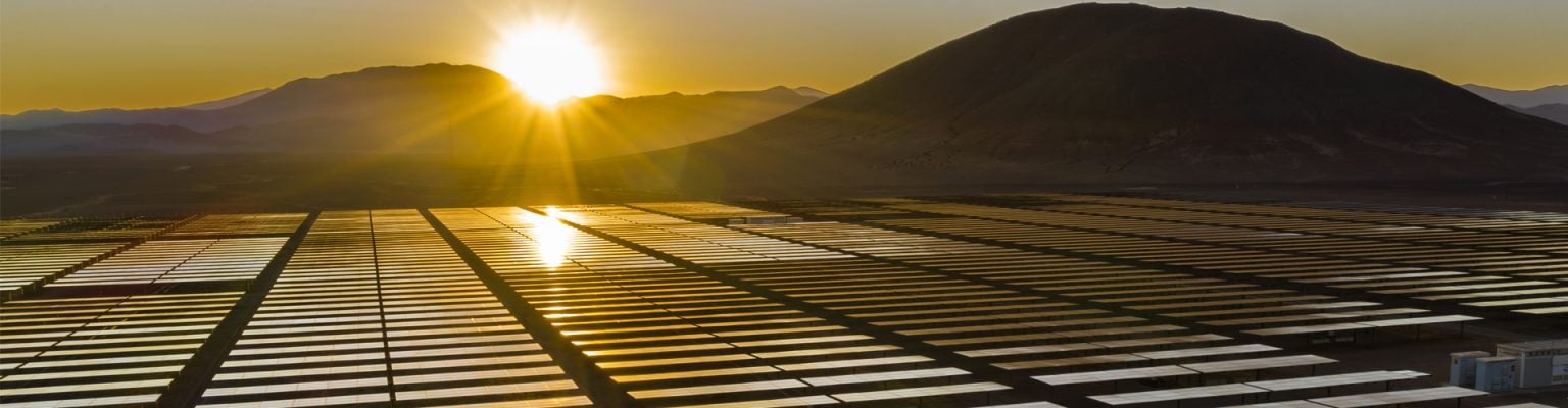 field of solar pannels with sunrise on the background